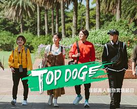 大象视频《TOP DOG》免费在线观看