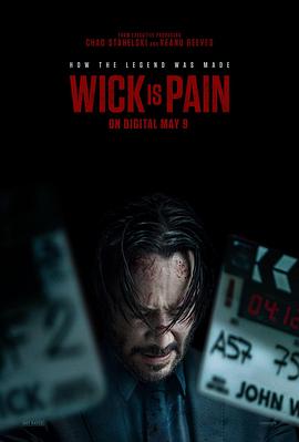 大象视频《疾速剧痛 Wick Is Pain》免费在线观看